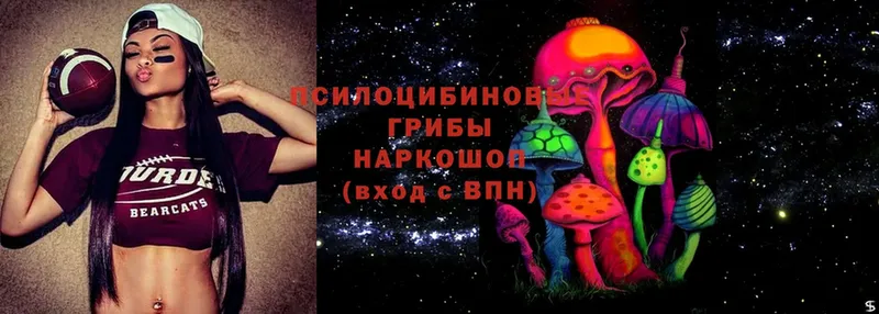 Галлюциногенные грибы Psilocybine cubensis Губаха